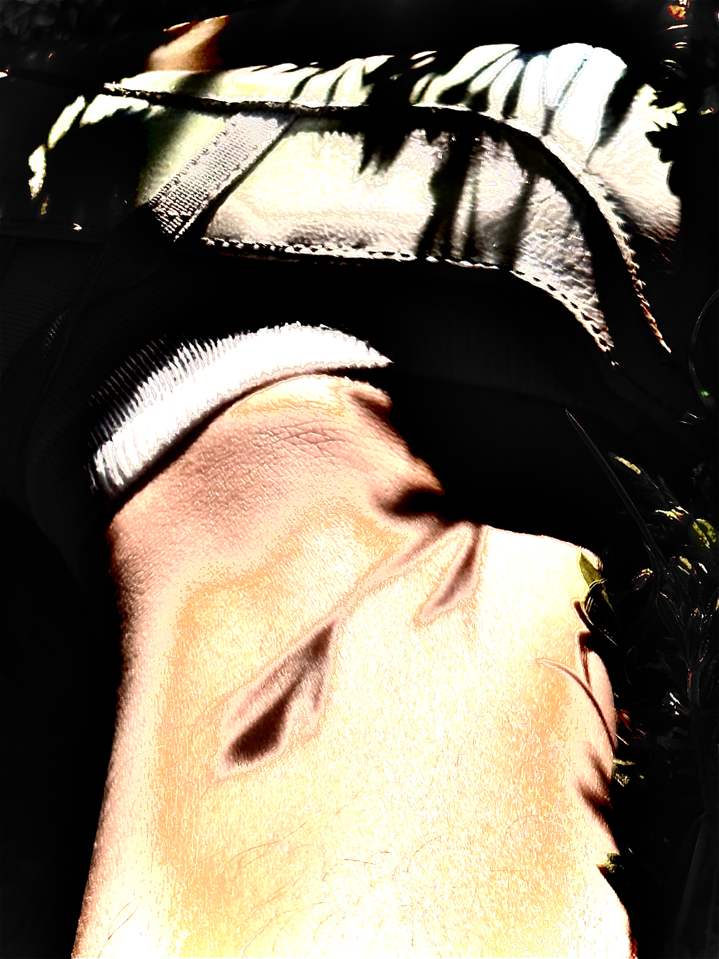 A hand resting in dappled light beneath a fern leaf.